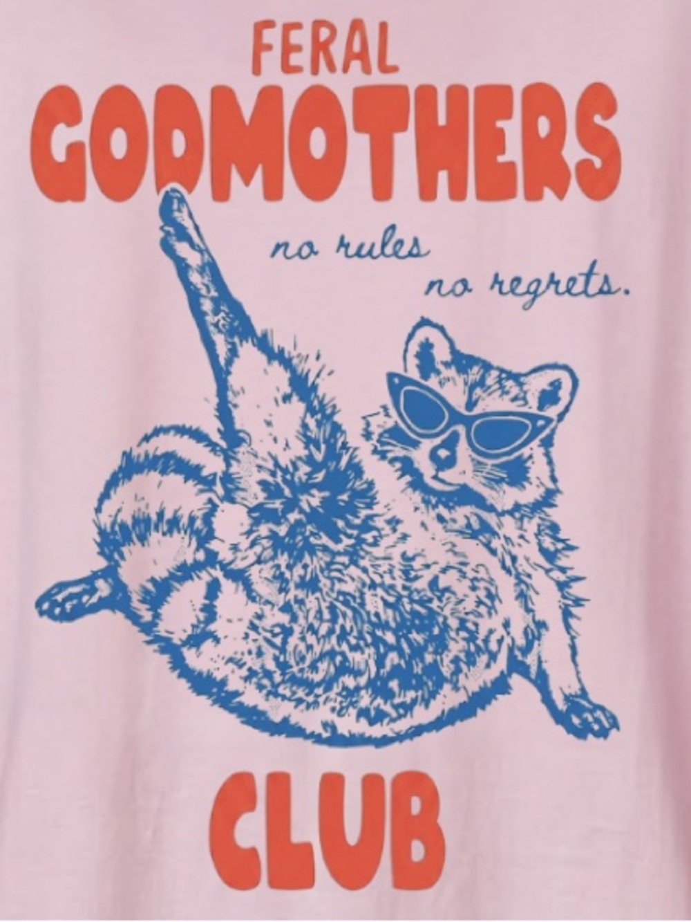 Feral Godmothers Club Raccoon Sunglasses No Rules No Regrets Vintage T-Shirt - Picture 3 of 6